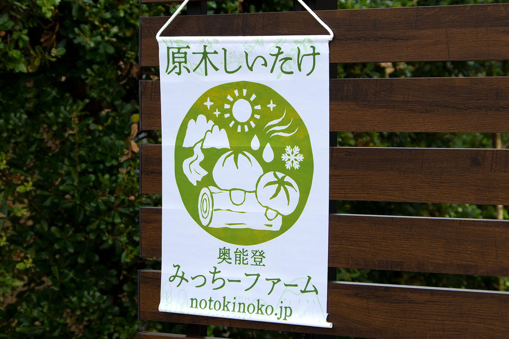notokinoko_flag